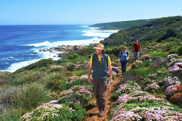 Sean Blocksidge’s tour company is consistently rated number one for Margaret River tour experiences on Tripadvisor.