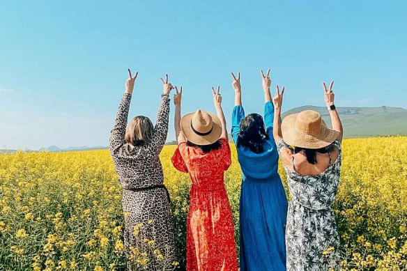 Farmers are urging people not to enter canola fields due to significant biosecurity risks and potential damage to the crops. A quick scroll on Instagram reveals countless selfies of people standing in fields of canola.