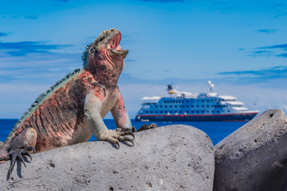 galapagos cruise review