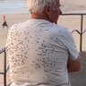 It’s not just you. A perfect storm of conditions means Sydney is being inundated with flies