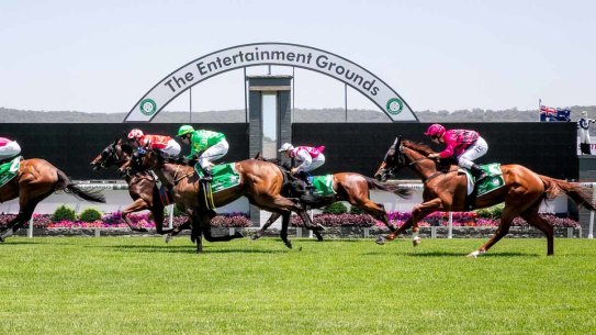 A competição retorna a Gosford na sexta-feira com um card de nove corridas.