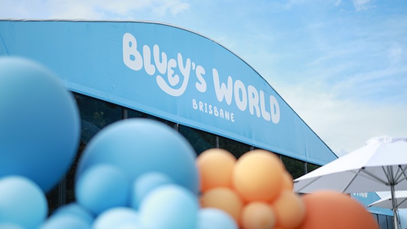 Bluey’s World pulls in half a million visitors