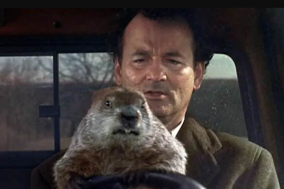 Todos entendem o significado do Dia da Marmota, estrelado por Bill Murray como um homem que vive o mesmo dia continuamente.
