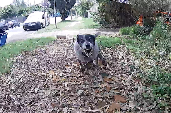 Australia Post is urging people to keep their dogs secure when they are expecting a delivery.