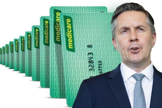 Health Minister Mark Butler has bowed to pressure and launched an independent inquiry into Medicare in an attempt to curb fraud, errors and over-servicing within the troubled universal healthcare system.