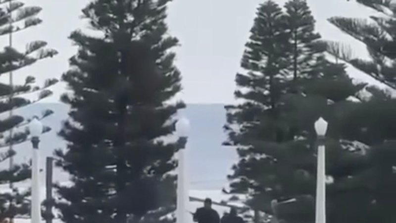 Bondi Beach shooting live updates: PM condemns shooting as ‘an act of evil antisemitism’ after 11 people, one shooter killed after attack on Jewish Chanukah by the Sea celebration in Sydney; Police confirm IEDs found in car near scene