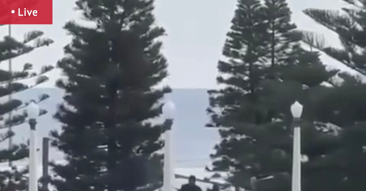 Jewish Chanukah by the Sea celebration attacked; 12 confirmed useless; shooters but to be recognized; Anthony Albanese, Chris Minns reply