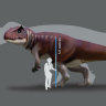 A bus-sized dinosaur roamed around southern Queensland