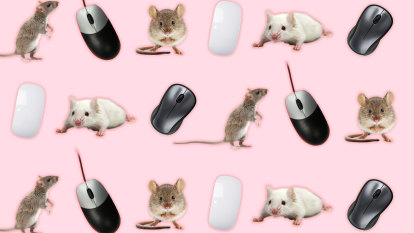 Computer mouses or computer mice? Let the people decide