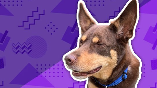 Clancy “the digger” Glover!