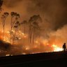 'We have not seen this before': Senior firefighter on horror season