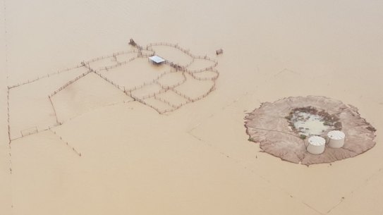 Flinders River at the 20 Mile Reserve in north-west Queensland on Thursday.