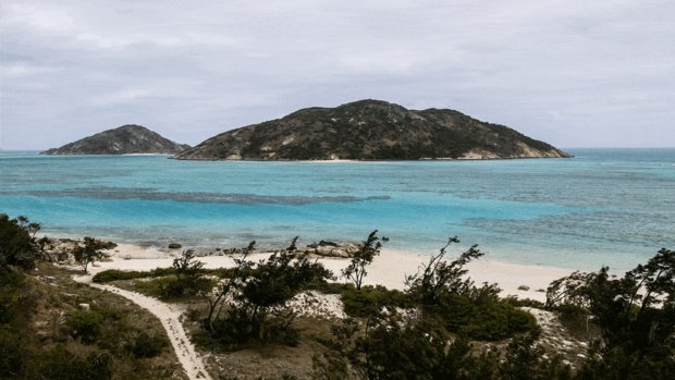 On a remote Australian island, a small patch of reef is as good as scientists have ever seen it