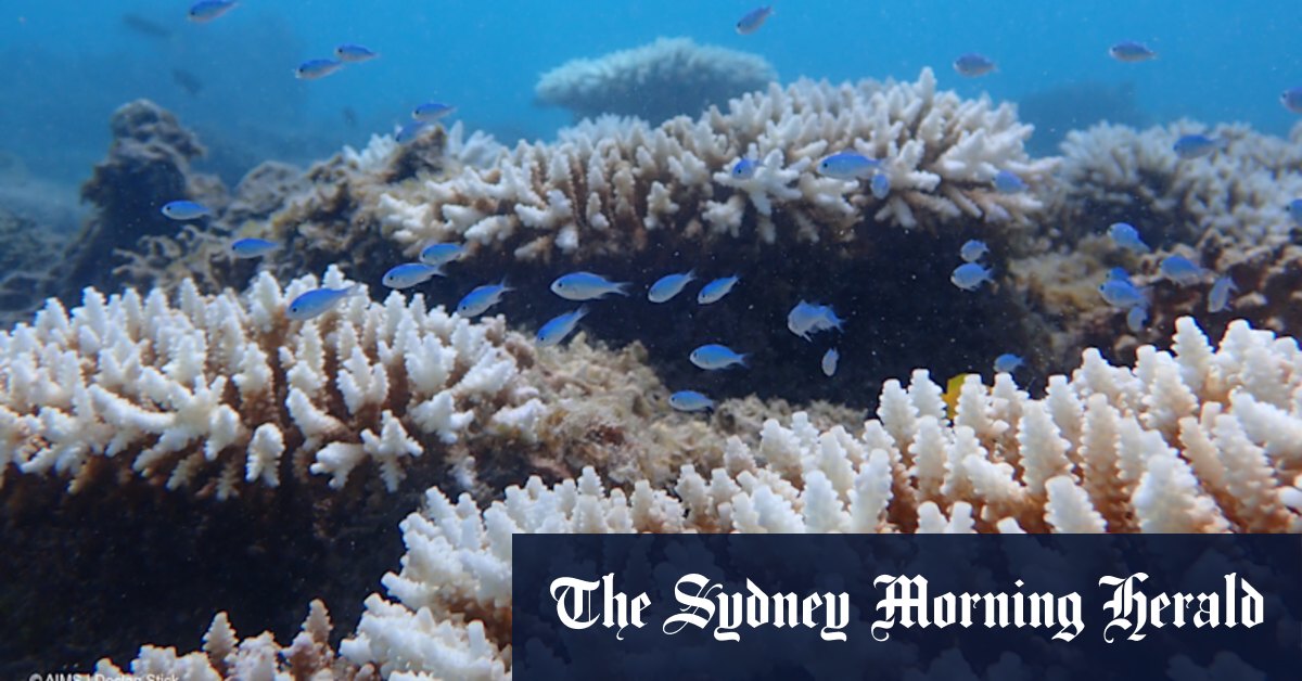 Report warns of rising mortality and economic impacts in Western Australia