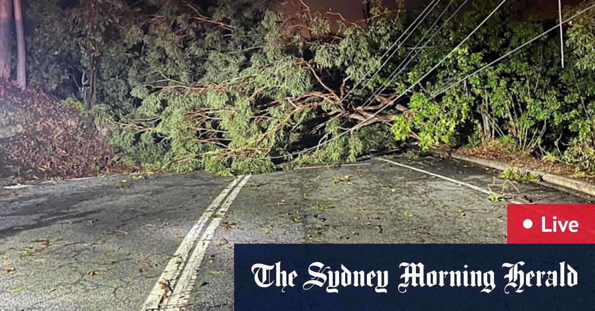 The mammoth task of clearing fallen trees and restoring power