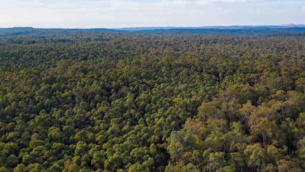 Alcoa has significantly increased its no-mining zone around Dwellingup.