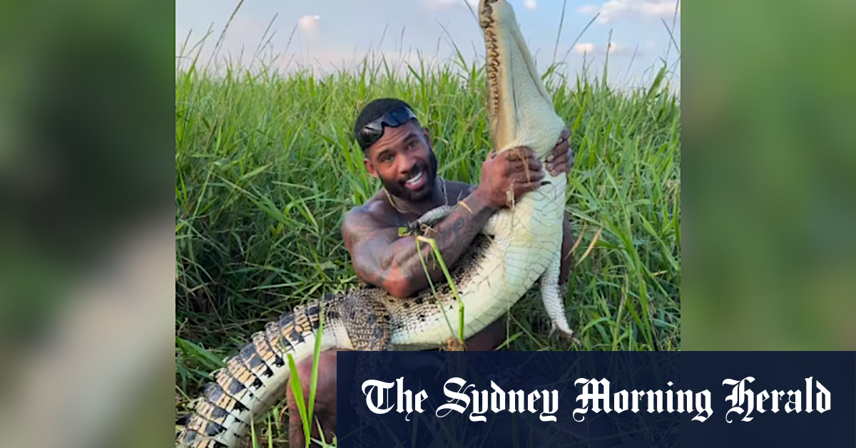 Influencer’s croc-wrangling videos spark government investigation