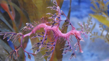 Bright Colours Dances For Days Always Eating It S The Leafy