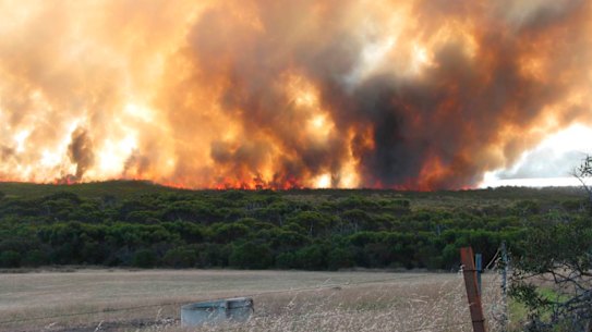 The Esperance fires are considered among the most devastating in the state’s history.