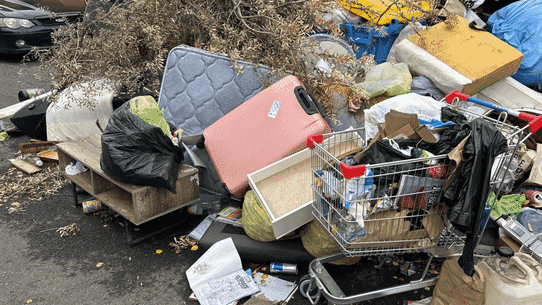 Images sent to council complaints app, Snap Send Solve.