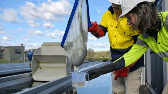 A $1.5 wastewater treatment trial using freshwater weed in Picton.