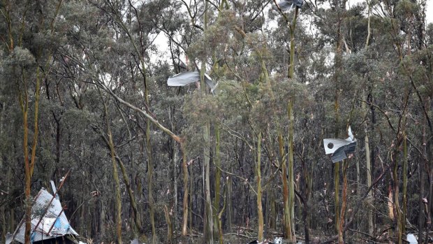 Sheets of corrugated iron were blown into tree branches by the tornado.