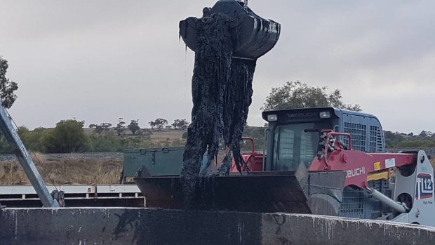 The 250-kilogram 'pipe monster' was pulled from Northam last week.