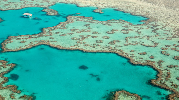 Federal Environment Minister Sussan Ley has revoked the export licence of the Great Barrier Reef commercial fin fishery. 