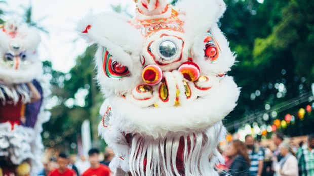 Lion dancers will perform at various events.