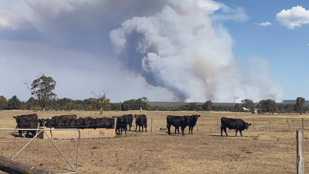 The bushfire burning south of Rosedale.