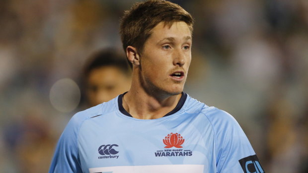 Solid: Newsome impressed off the bench after Israel Folau went down. 