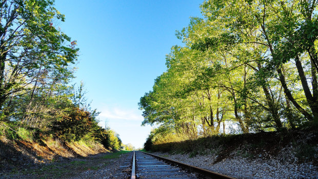 Part of the Great Northern Railway corridor, north of Armidale, which last saw a passenger train 35 years ago.