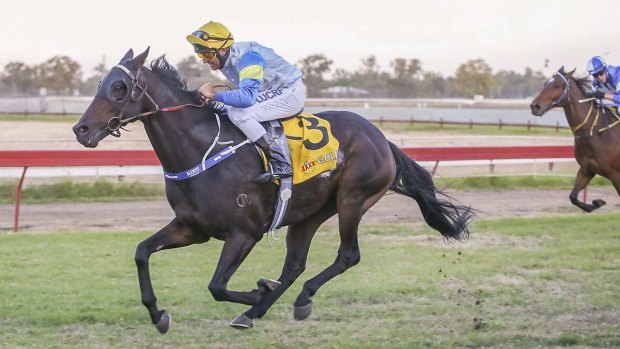 The right stuff: Ricky Blewitt  and Track Flash take out  the Moree Picnic Cup. 