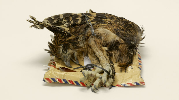 Detail of 'Bird corpse, labeled as home decor, Indonesia to Miami, Florida (prohibited)' Contraband, 2010, archival inkjet print, 15.9 x 15.9cm.