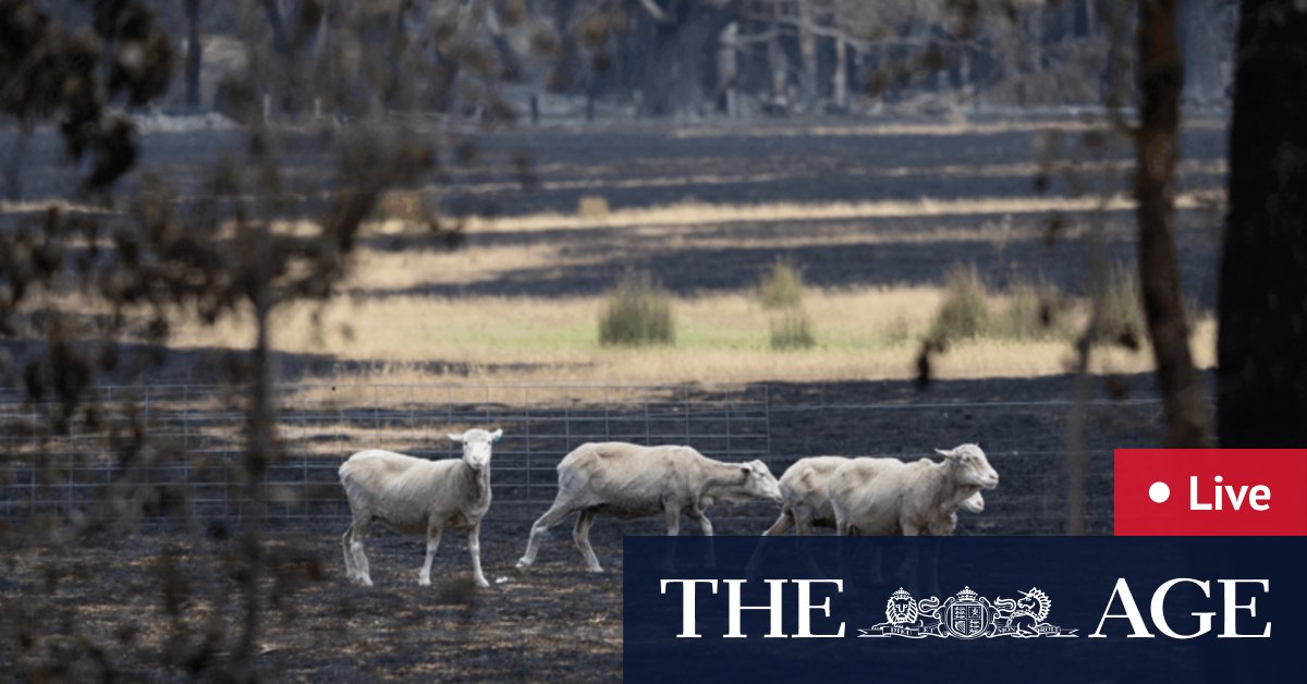 Victoria fires live updates Beaufort, Wimmera warnings issued