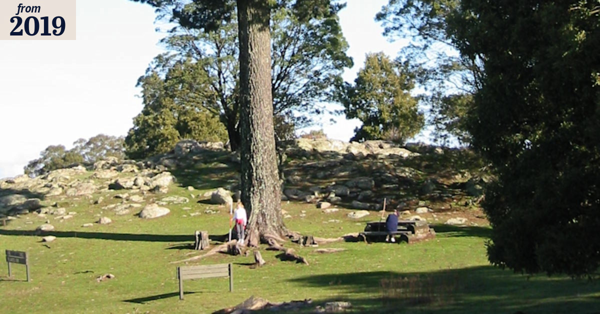 Horticulture: Have your say on Victoria's tree of the year