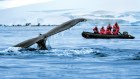 A unique journey through unspoiled polar regions highlights the advantages of a luxury expedition.