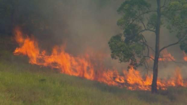 ‘Leave immediately’: Bushfires rage across Queensland