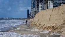 Ex-Tropical Cyclone Alfred carved great chunks out of Gold Coast beaches.