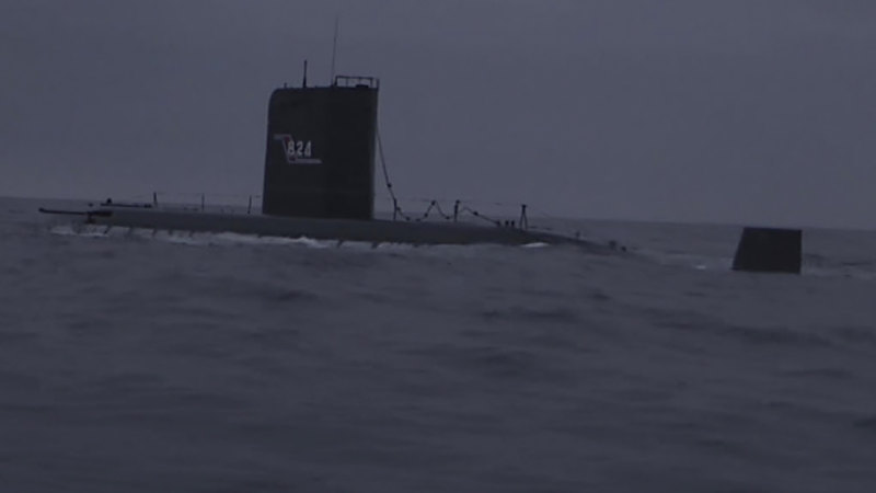 Kuzey Kore, denizaltından iki seyir füzesi fırlattı