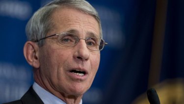 National Institute of Allergy and Infectious Diseases director Anthony Fauci has risen to national prominence during the coronavirus outbreak. 