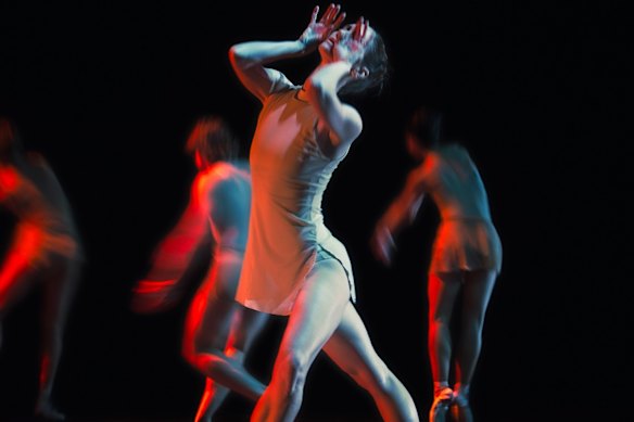 Newborn Giants is a dance piece by Robert Binet as part of Bespoke for Queensland Ballet, 2025.