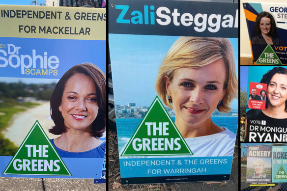A number of independent candidates’ corflutes were targeted with stickers claiming they were running for the Greens.