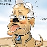 David Pope: Dog on the tuckerbox