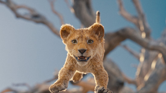 Young cub Mufasa in Mufasa: The Lion King.