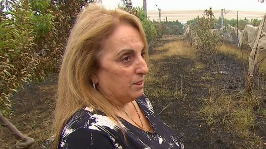 Margaret Tadrosse and her husband Simon  have vowed to rebuild after the Blue Mountains bushfires swept through their orchards,  the Bilpin Fruit Bowl. 