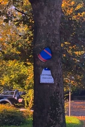 A good excuse for a parking fine – the tree ate the sign!