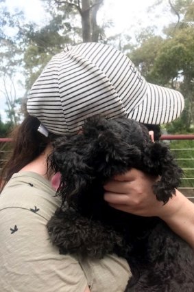 Luna was reunited with her owner on January 8.  