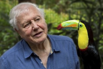 David Attenborough is only one of the many people whose expereinces of the BBC are unpicked by David Hendy.