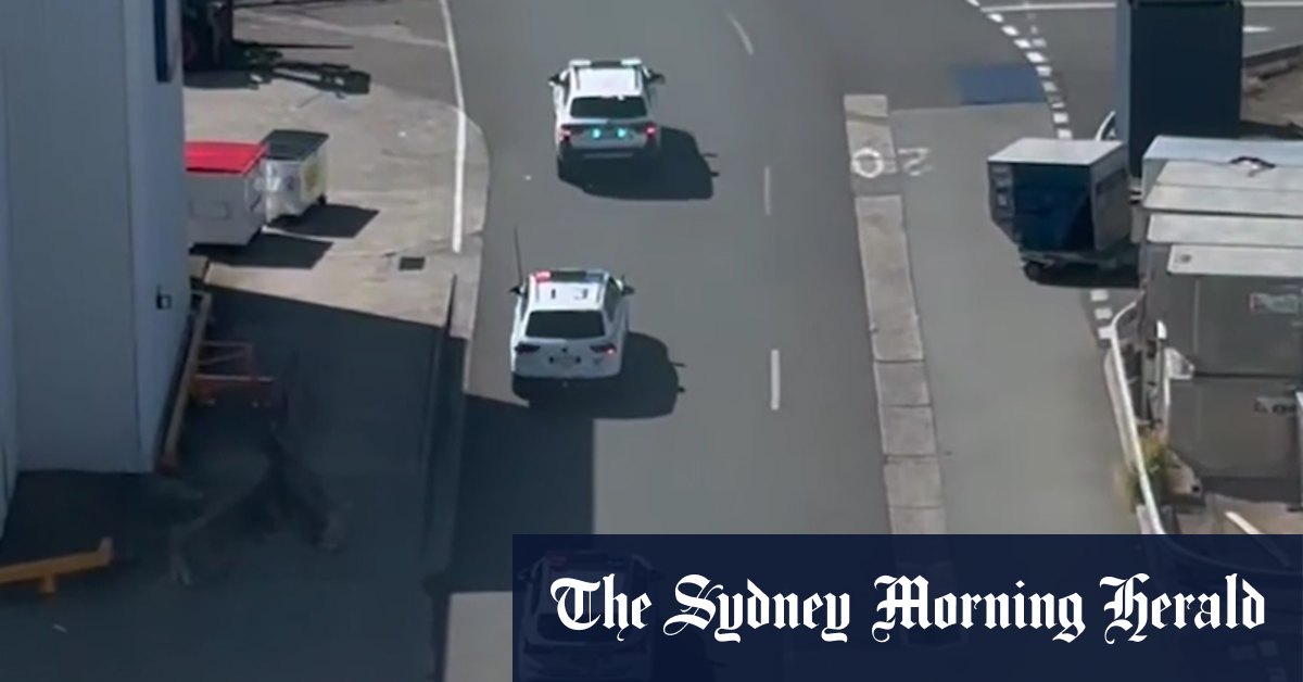 Sydney airport freight handler dies after being hit by towing vehicle